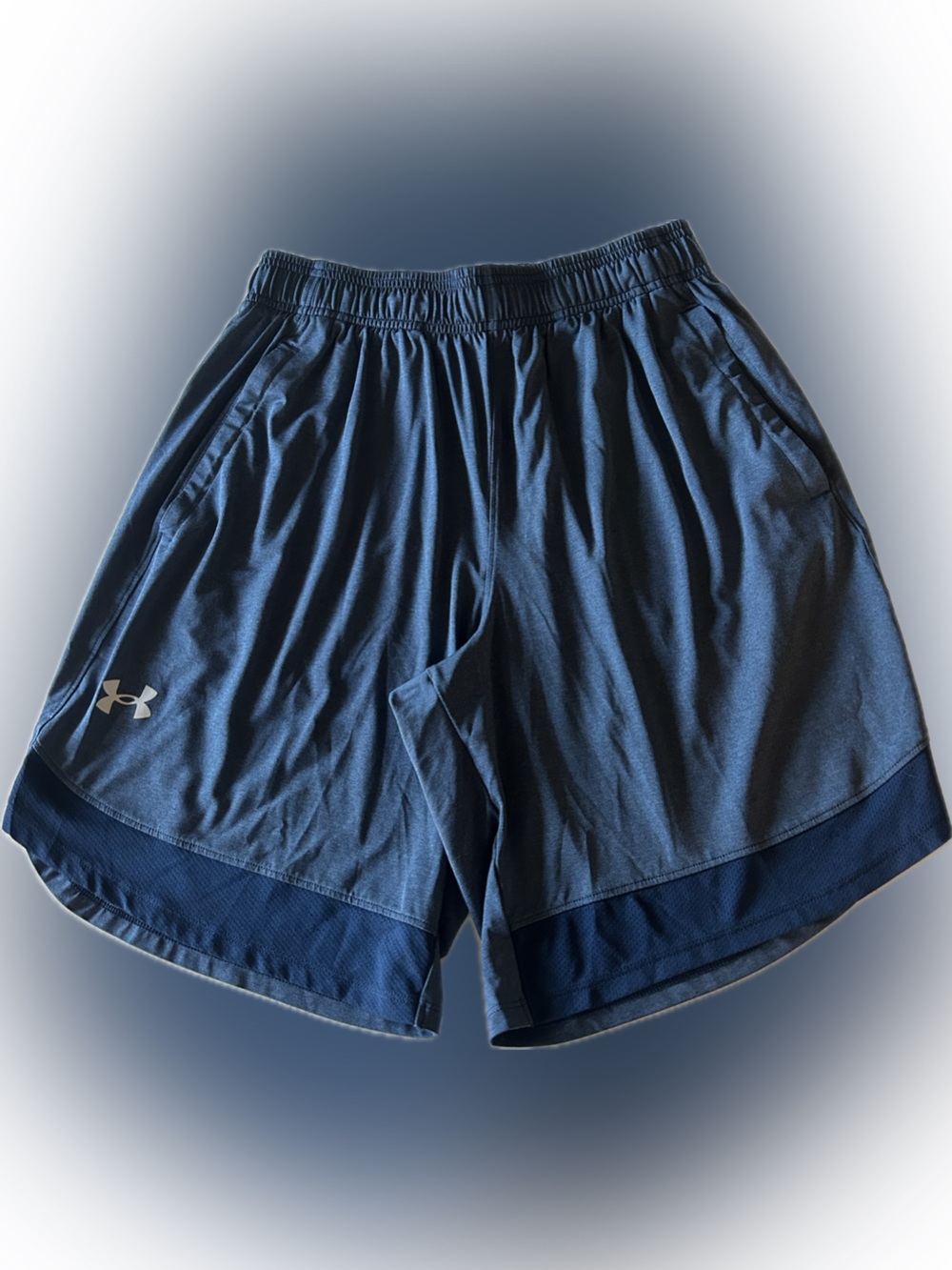 Under Armour Navy Blue Performance Shorts with Logo